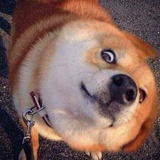 陈不丢
