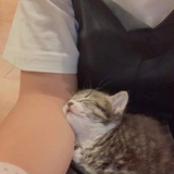 没想到你是真疯