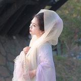 何家大胖