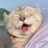 她梦