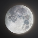 深林相照
