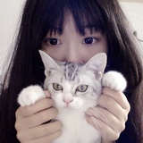 MIOMIO