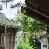 鸢萝行