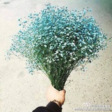 李苏在桥上