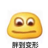 我说的话都别信
