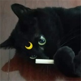 就酱