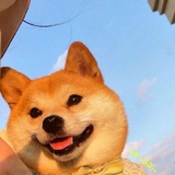 川口那小子