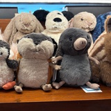 全身戴满蒂芙尼