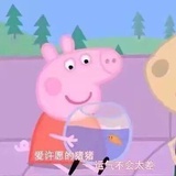芋圆！