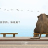 只扎人蜂