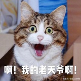 元芳圆圆圆