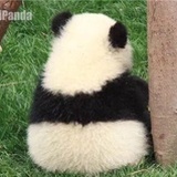 李小帅