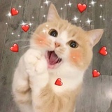 卡卡西