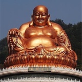 安鑫