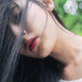 木槿的半个夏天
