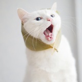 阿镜