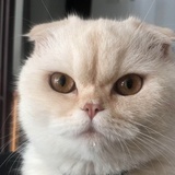 Mine