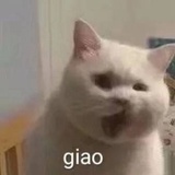 OPQ