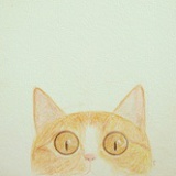 青猫