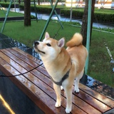 姜即墨