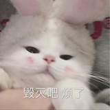 大家的理想型