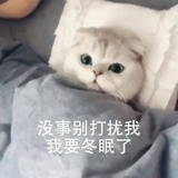 一颗草稿纸
