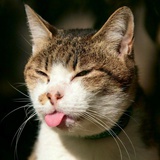 Bishop