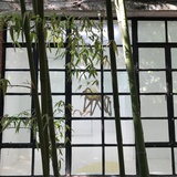 寿司小桃酥