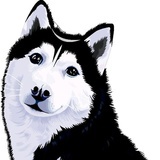 Lyonslee
