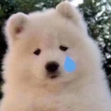 深红Deyu