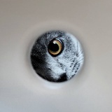 叠句