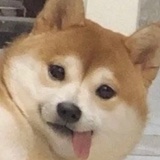 桃屁君