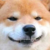 在路上