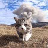 梦想家小可