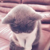 让你死翘翘