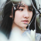 杏树薄荷绿