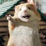 不在场
