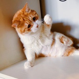 想改名字是真的