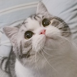 Tammy Cattery