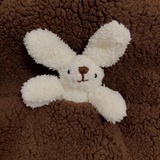 大虾