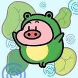 黑眼圈冠军