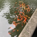 英伦