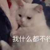 苦叽几