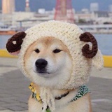 阳光女孩鹿小葵