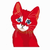 好想养只猫