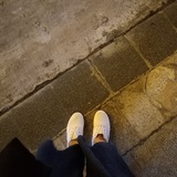 珠鹿亚
