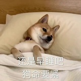 Zz