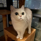 球宝宝啊