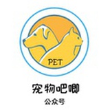 宠物吧唧