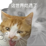 那你脸红什么